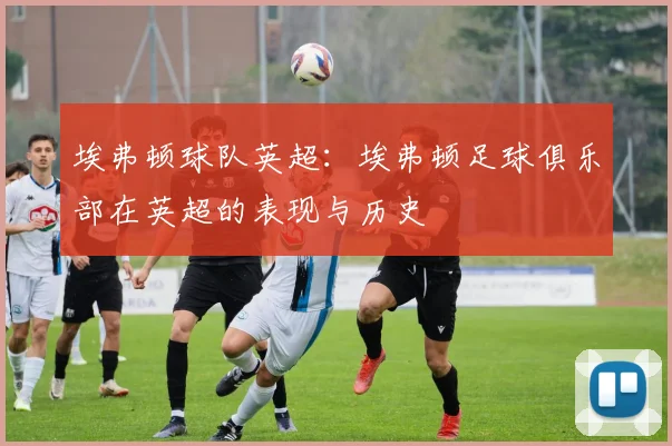 埃弗顿球队英超：埃弗顿足球俱乐部在英超的表现与历史