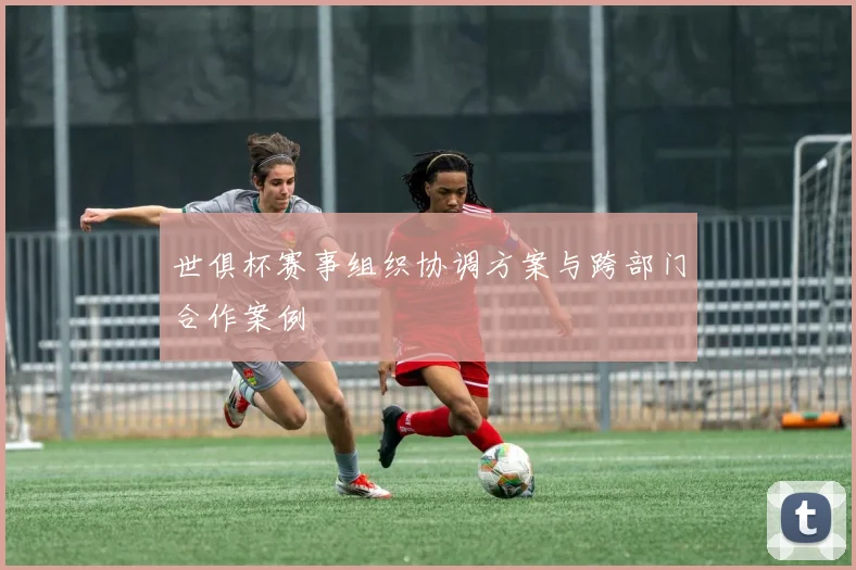世俱杯赛事组织协调方案与跨部门合作案例