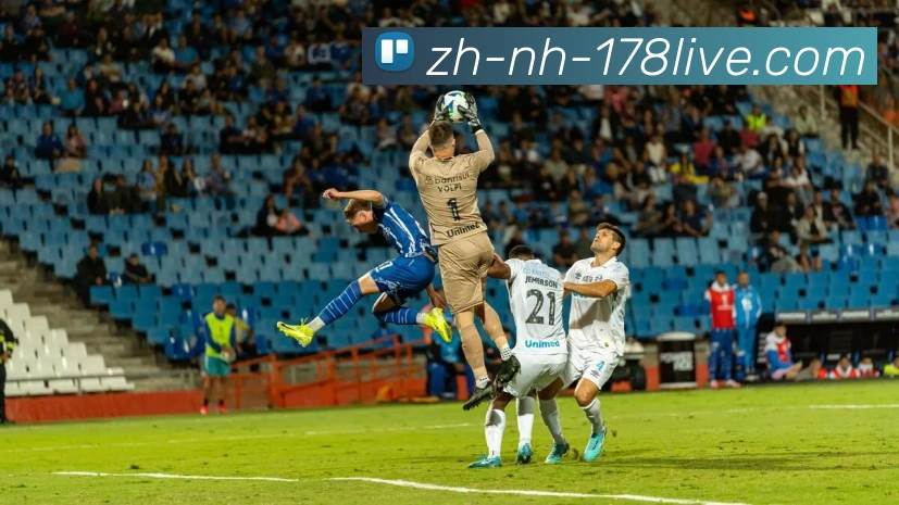 多媒体互动体验